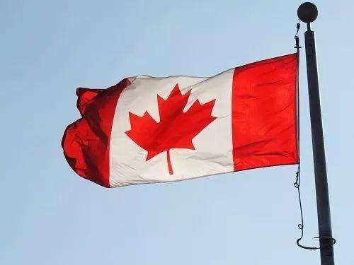加拿大疫情告急，情报中心呼吁，采取跨政府战略 ！
