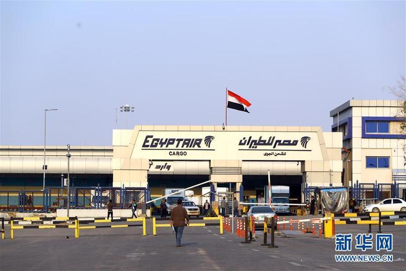 埃及将暂停所有进出埃及的航班