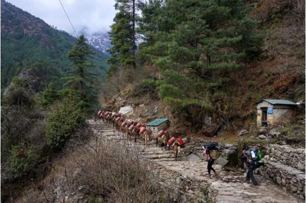 尼泊尔防疫全国封锁，数百登山者被困喜马拉雅山