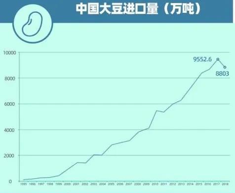 我国以小麦为食的人口_小麦简笔画(3)