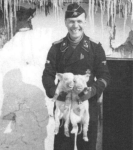 德国军人为什么喜欢和猪一起拍照？只有这一简单原因