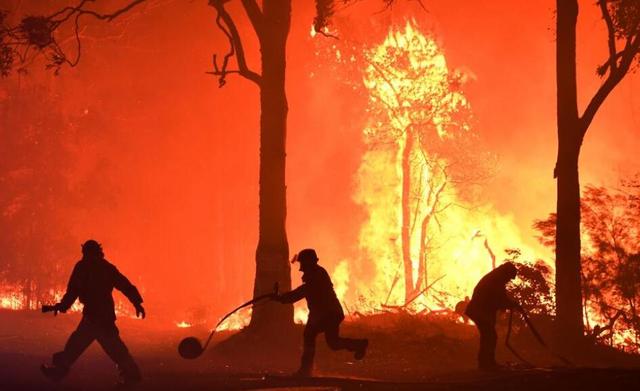 山火烧了4个月，澳政府终于要有所作为了！莫里森下达历史性命令