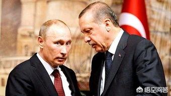 俄美为什么要在叙利亚内战中“放纵”土耳其