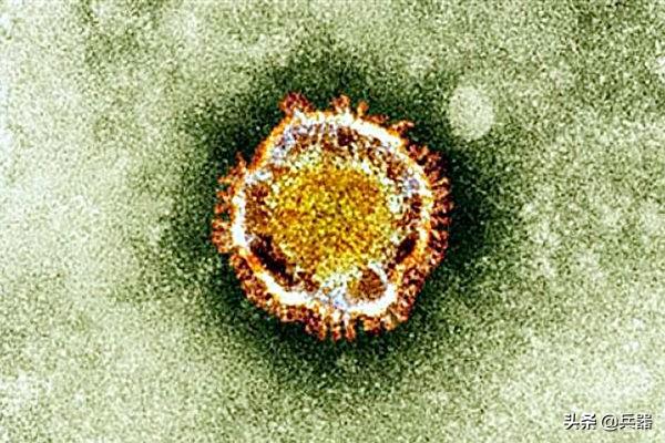对抗病毒，澳洲传来好消息：科学家逮住活病毒！它的用处可就大了