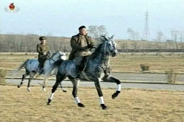 俄方揭秘金正恩所骑白马正体，朝鲜“骑马文化”盛行