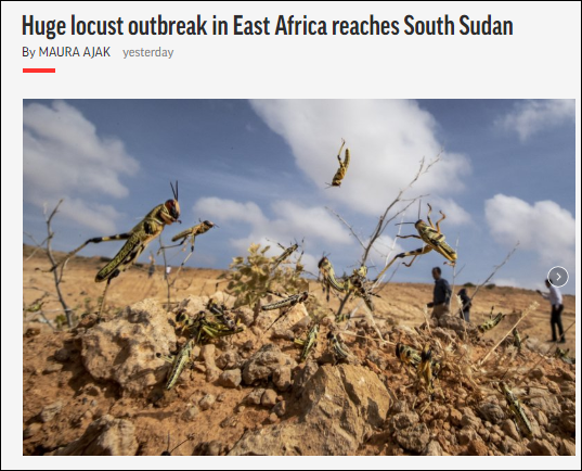 突发！蝗虫蔓延至南苏丹，约旦已宣布国家进入紧急状态