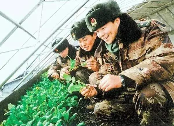 为啥中国军人爱种菜？因为我们才是“战斗民族”