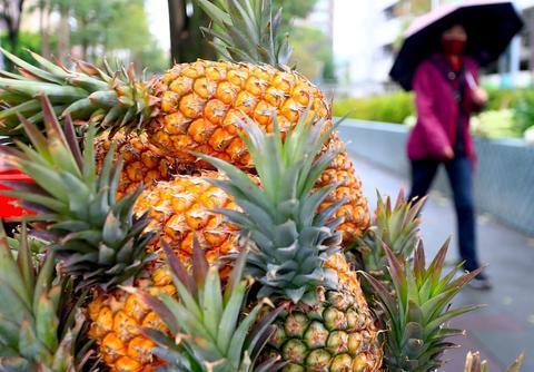 台湾把菠萝卖给澳大利亚？澳果商懵了：有新鲜的，凭啥冒险进口